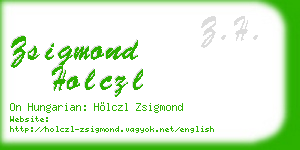 zsigmond holczl business card